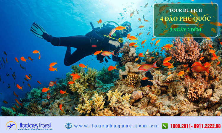 Tour 4 đảo Phú Quốc 3 ngày 2 đêm 