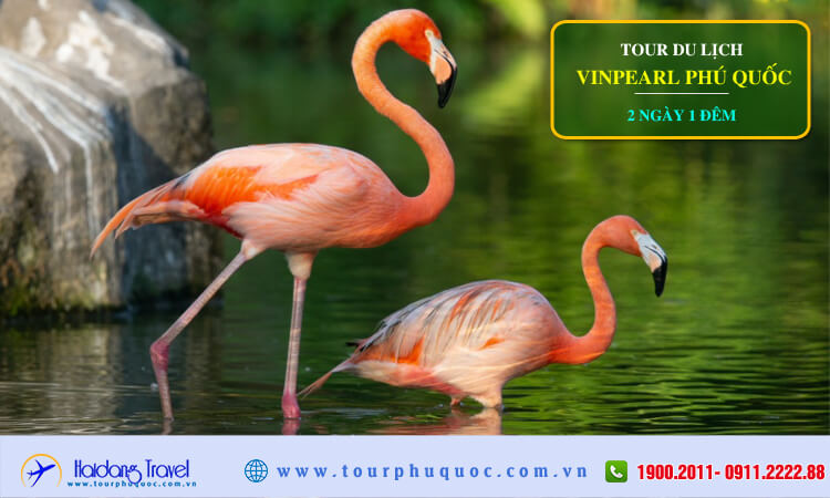 Tour du lịch Vinpearl Phú Quốc 3 ngày 2 đêm 