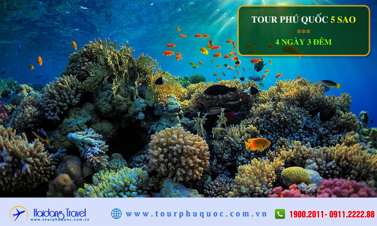 Tour Phú Quốc 4 ngày 3 đêm 5 sao